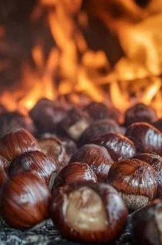 Chestnuts roasting on an empty fire short story cover